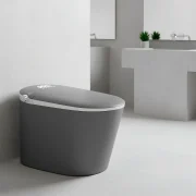 Inodoro Inteligentes Artemisa