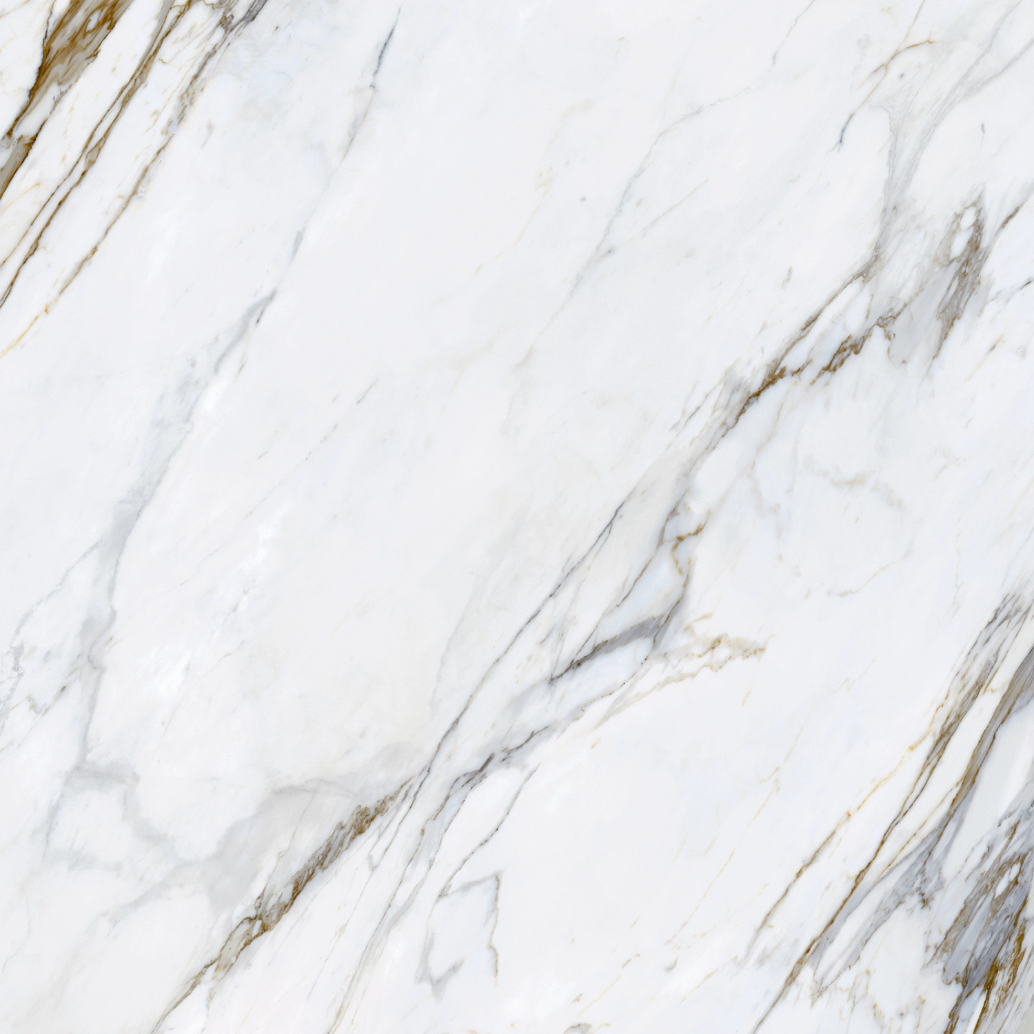 Porcelanato Calacata Infinity Satin 120×120