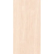 Porcelanato Mate Halcon Portland Sand 60×120 cm